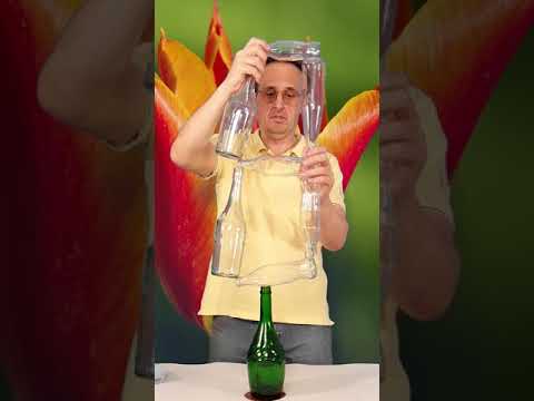 Onlyfuns Аня Антонюк Onlyfuns Аня Антонюк